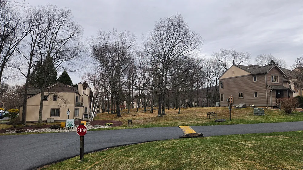 TDT Pocono Getaways property view