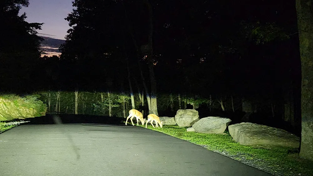 TDT Pocono Getaways living space